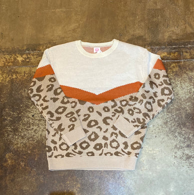 Chevron Cheetah Sweater